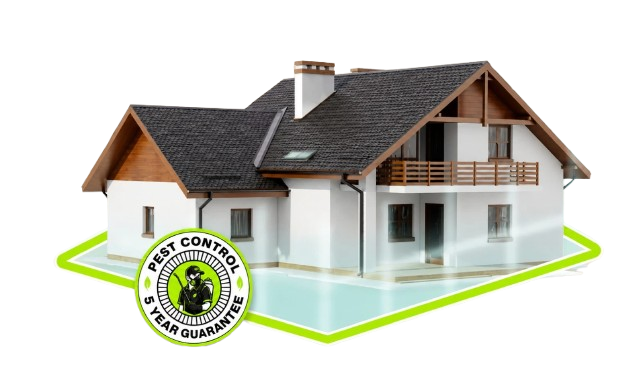 PCPI team conducting a full-property pest management inspection